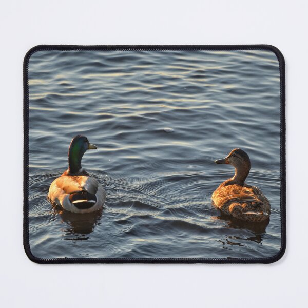 Item preview, Ducks on the Pond designed and sold by ShipwreckedArt.
