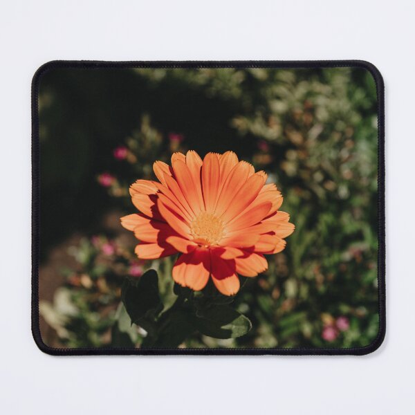 Item preview, Orange flower designed and sold by VolcanoMist.