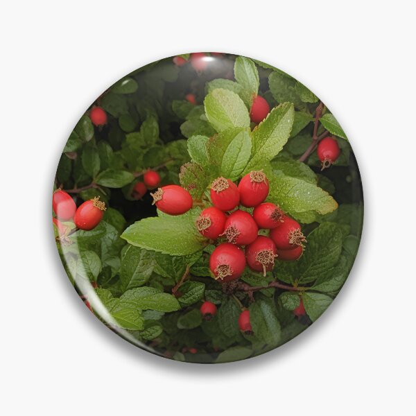 Item preview, Fantasy rosehips, generated by AI, lost in the forest designed and sold by House-of-Wyld.