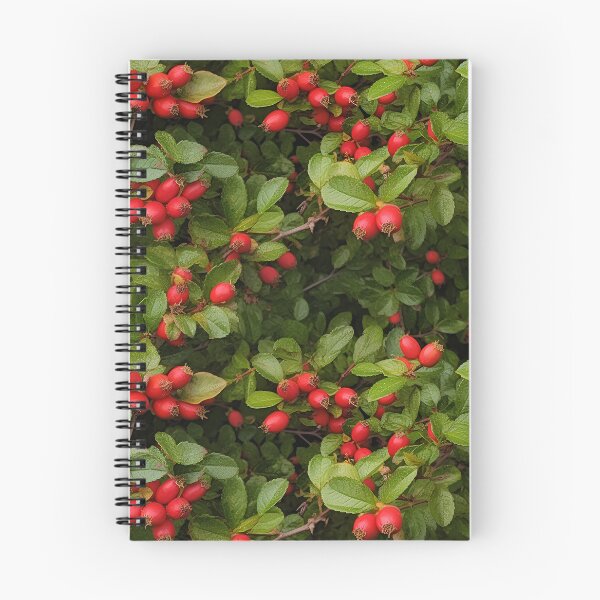 Item preview, Fantasy rosehips, generated by AI, lost in the forest designed and sold by House-of-Wyld.