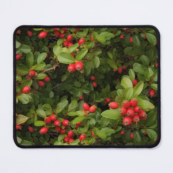 Item preview, Fantasy rosehips, generated by AI, lost in the forest designed and sold by House-of-Wyld.