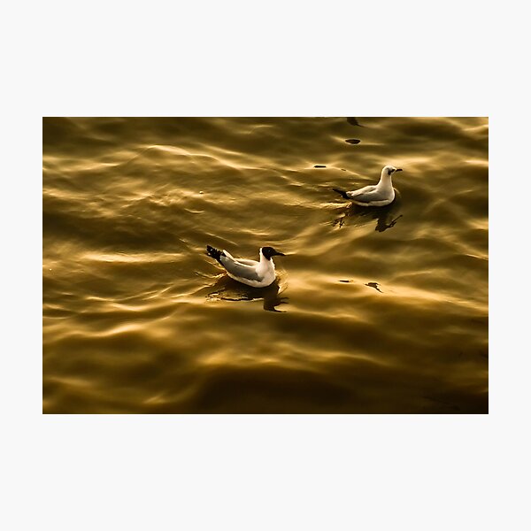 Item preview, bird on water surface in sunset designed and sold by BARTISTA DESIGN.
