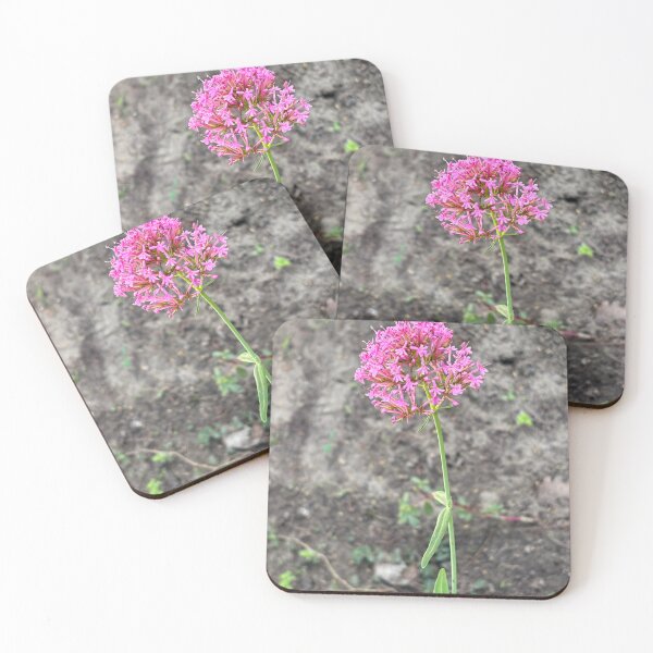 Item preview, Red valerian designed and sold by PariSeine.