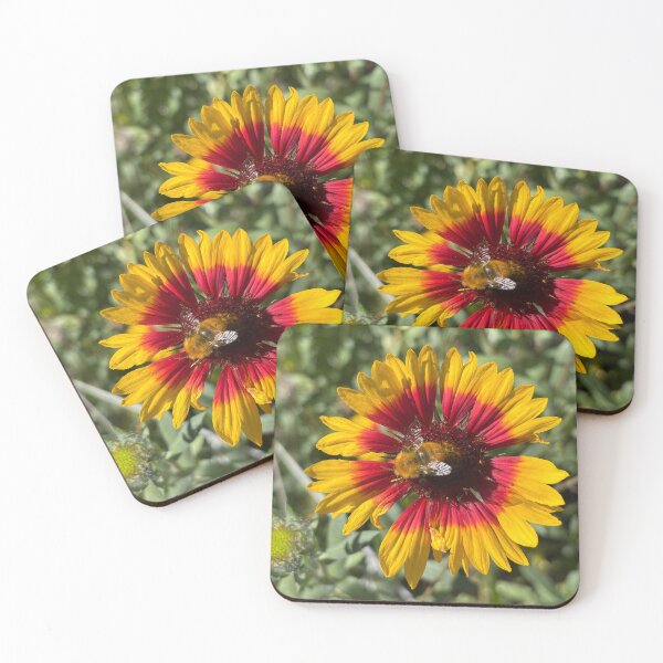 Item preview, Carder bee & Arizona sun designed and sold by PariSeine.