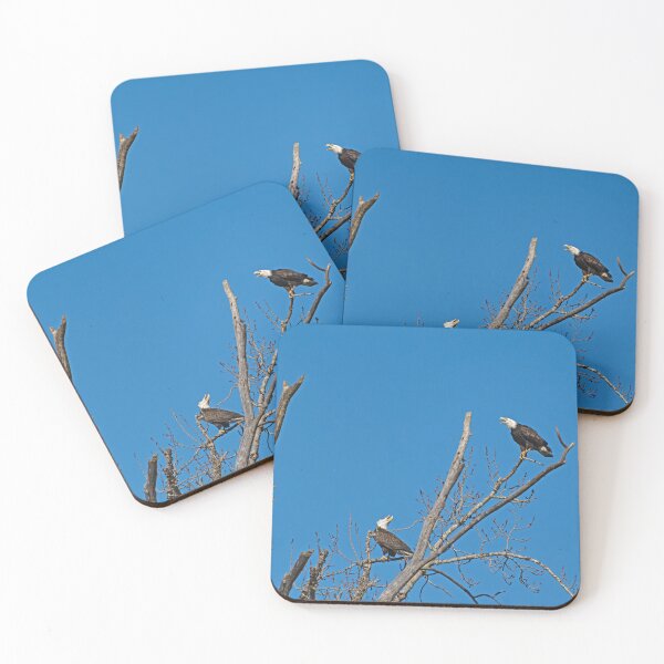Item preview, Eagle pair vocalizing to each other designed and sold by lisavonbiela.