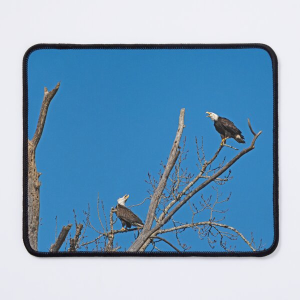 Item preview, Eagle pair vocalizing to each other designed and sold by lisavonbiela.
