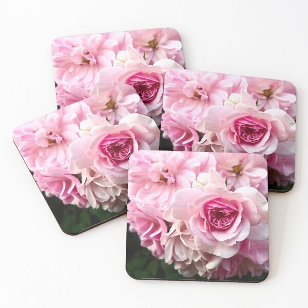 Aperçu de l'œuvre rosier de jardin rose créée et vendue par LuminousScapes.
