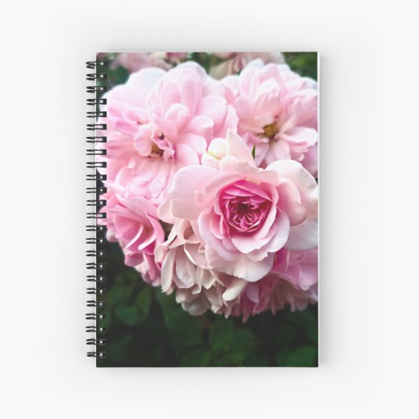 Aperçu de l'œuvre rosier de jardin rose créée et vendue par LuminousScapes.