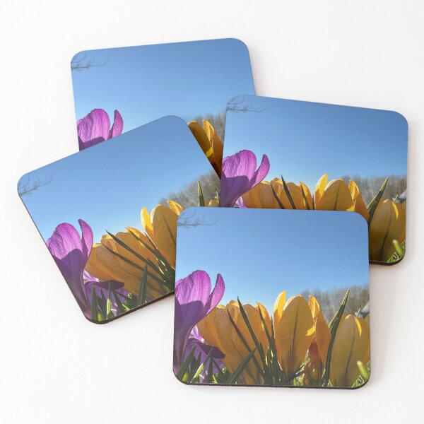Item preview, Crocuses designed and sold by Tizz07.