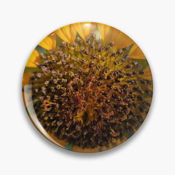 Item preview, Sunflower Close Up designed and sold by beckscre8tive.