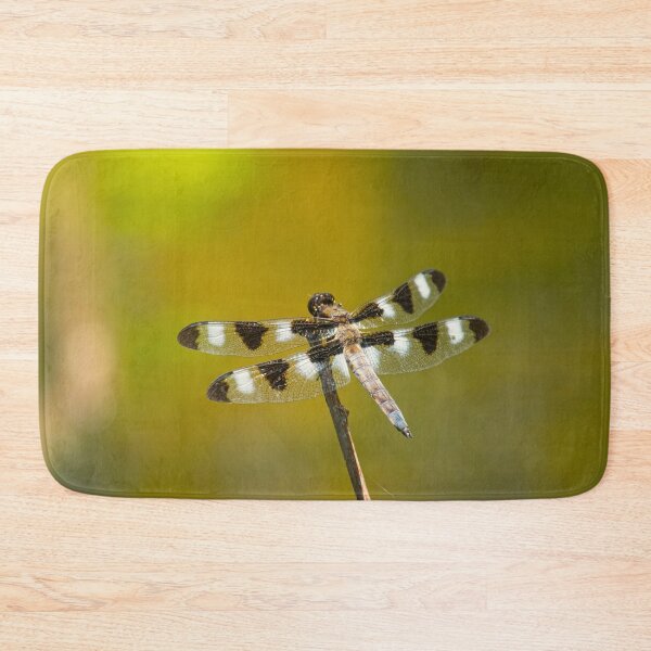 Item preview, This Is How You Train Your Dragon designed and sold by EugeJ.