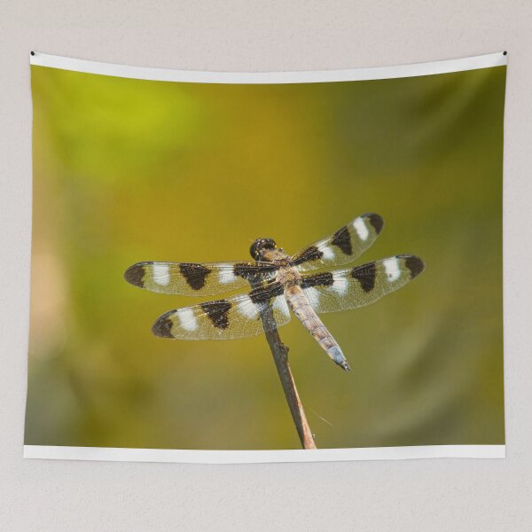Item preview, This Is How You Train Your Dragon designed and sold by EugeJ.