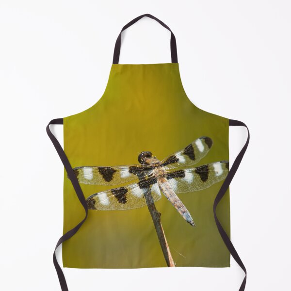 Item preview, This Is How You Train Your Dragon designed and sold by EugeJ.