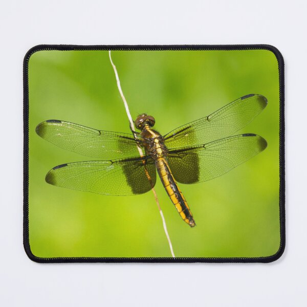 Item preview, The Dragonfly designed and sold by EugeJ.