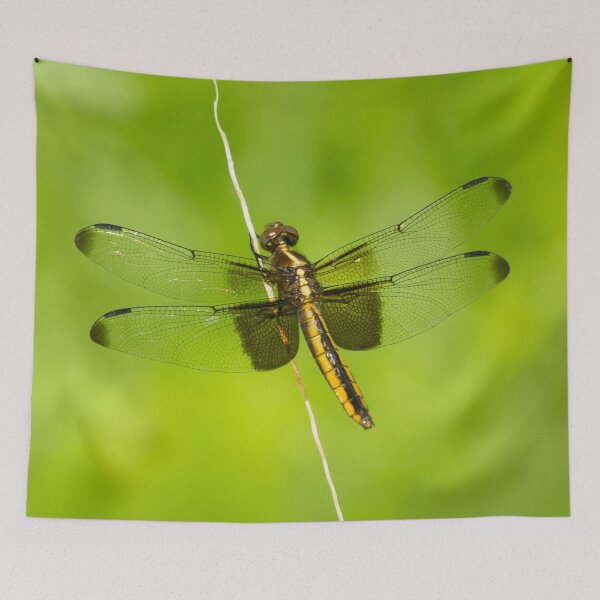 Item preview, The Dragonfly designed and sold by EugeJ.