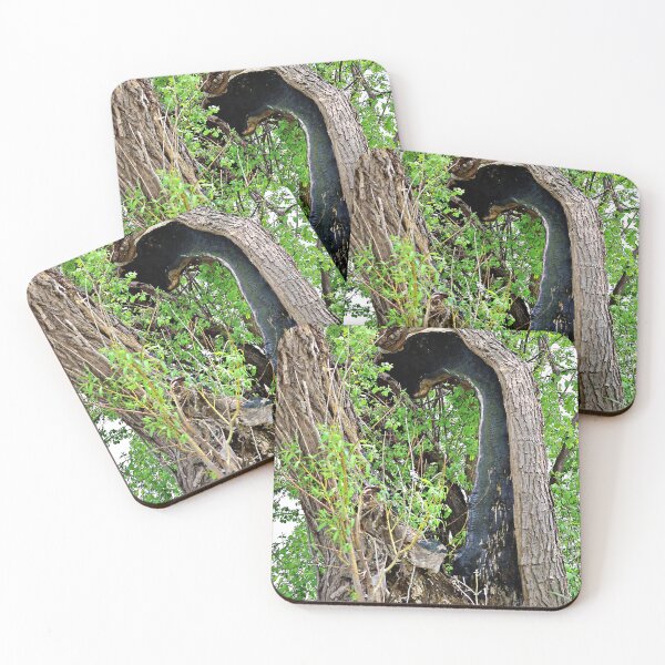 Item preview, A Tree with a Very Large Hole designed and sold by Martha Sherman.