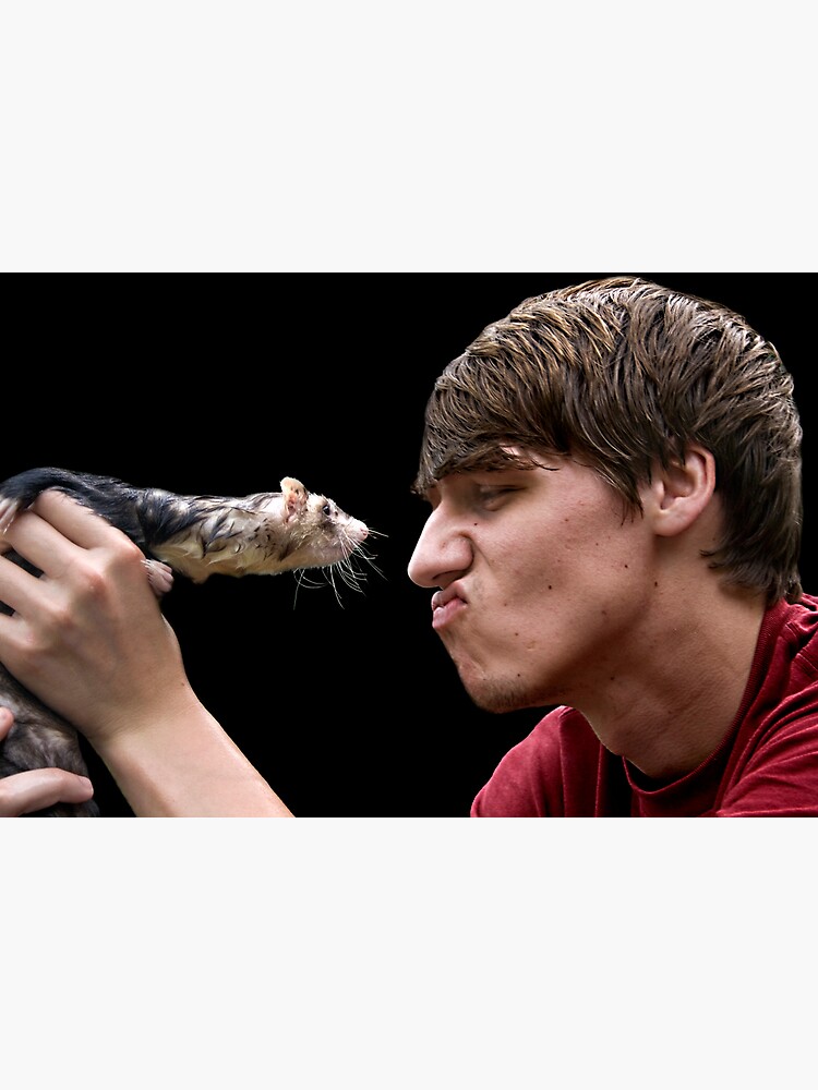 Thumbnail 3 of 3, Poster, Ferret Love designed and sold by believer9.