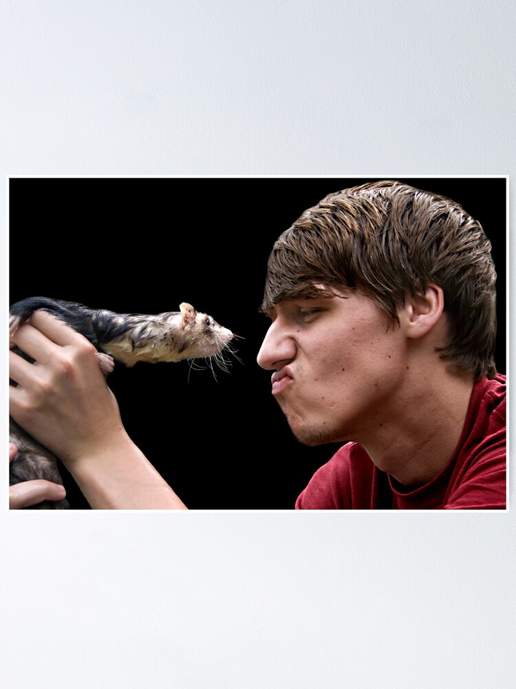 Thumbnail 1 of 3, Poster, Ferret Love designed and sold by believer9.