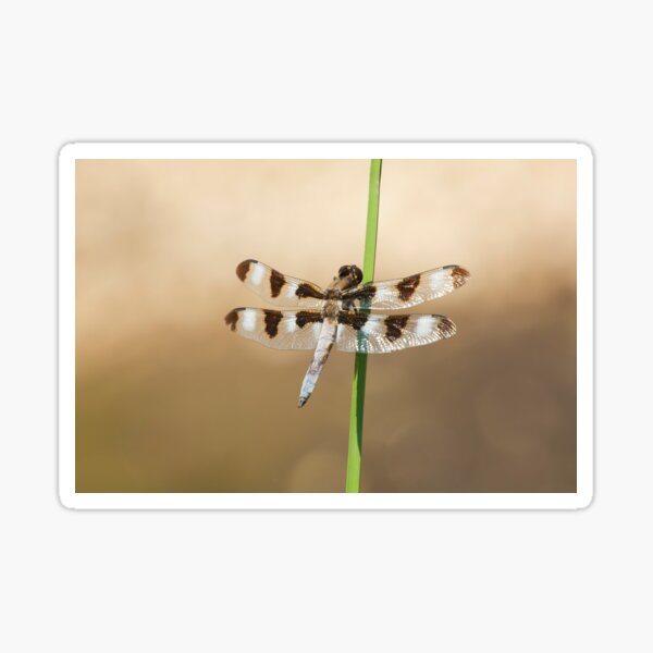Item preview, On A Blade Of Grass designed and sold by EugeJ.
