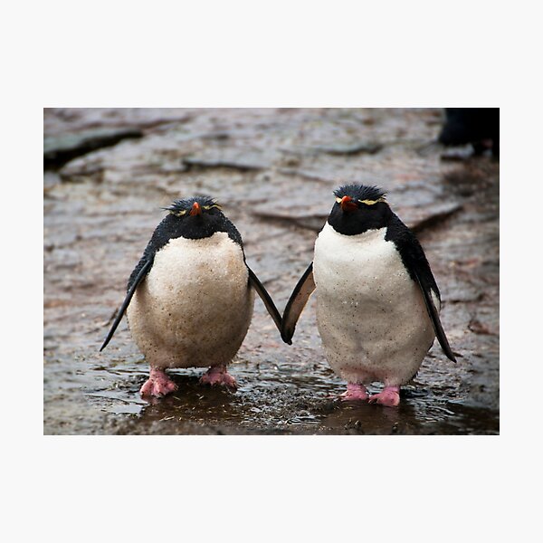 I Love my bird Photographic Print