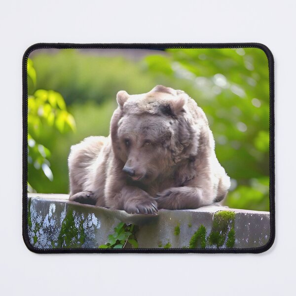 Item preview, Berlin bear designed and sold by NatsVision.