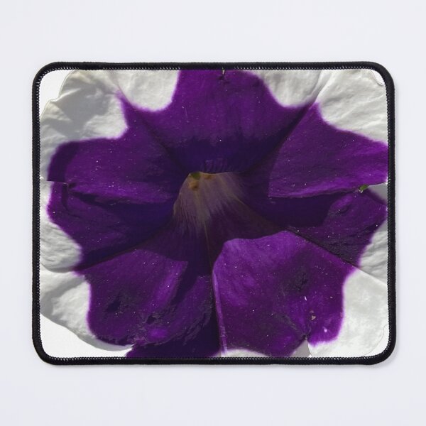 Item preview, Purple Petunia designed and sold by Amber Griffin.