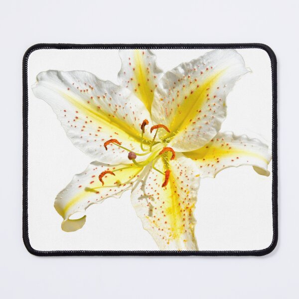Item preview, Brilliant Royal Lily designed and sold by Maria Keady.