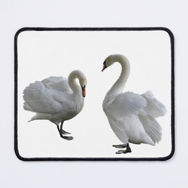 Item preview, Pair of Mute Swans designed and sold by Maria Keady.