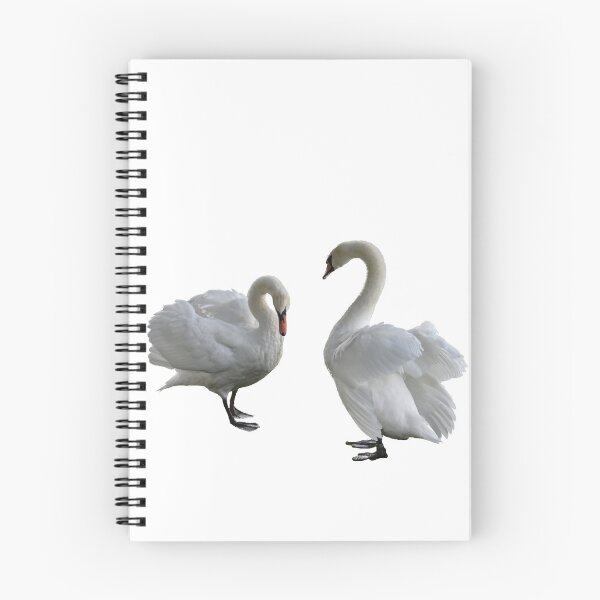 Item preview, Pair of Mute Swans designed and sold by Maria Keady.