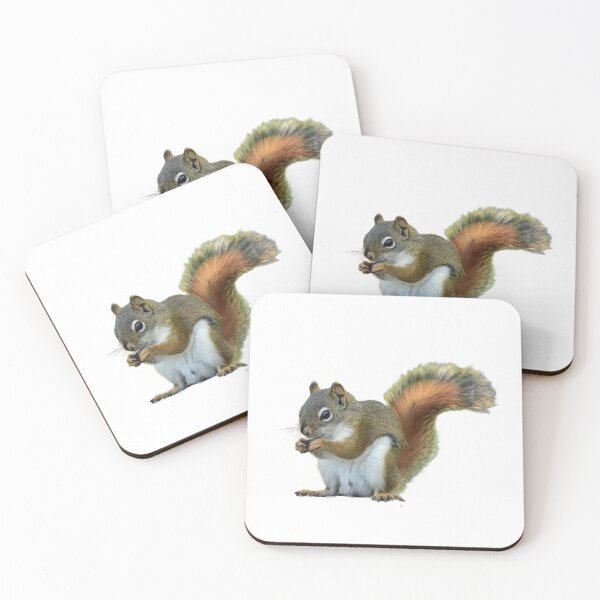 Item preview, My Squirrelly Friend designed and sold by Maria Keady.