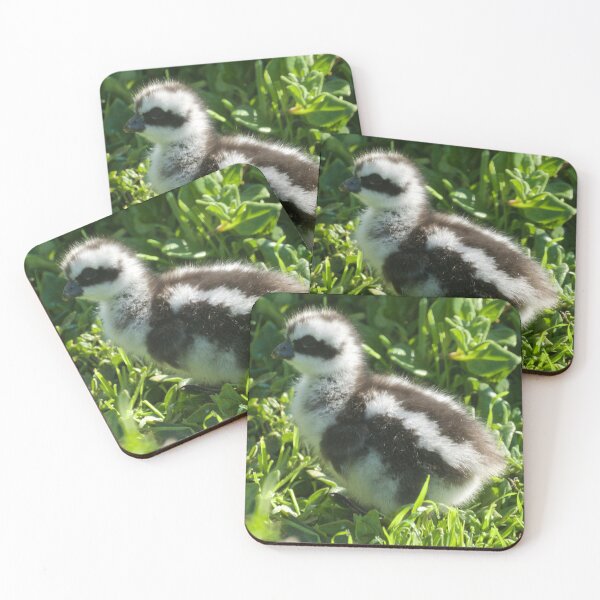 Item preview, Cape Barren Chick  designed and sold by D-GaP.