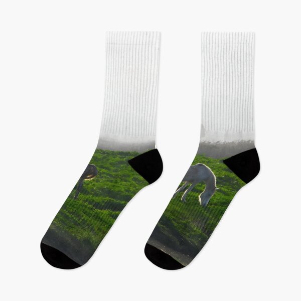 Item preview, Whispers in the Mist: Horses Grazing at Dawn designed and sold by NatsVision.