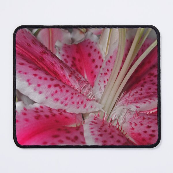 Item preview, Stargazer Central designed and sold by Maria Keady.