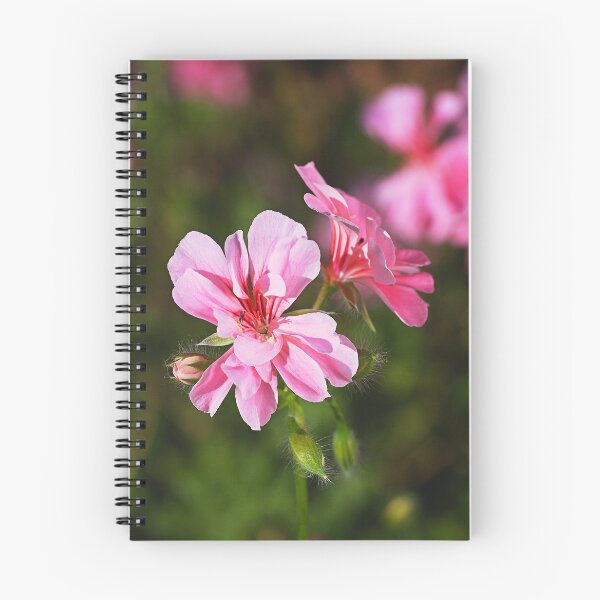 Item preview, New Friends Of Geranium Flowers designed and sold by Joy Watson - Natural Light Photography .