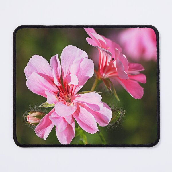 Item preview, New Friends Of Geranium Flowers designed and sold by Joy Watson - Natural Light Photography .