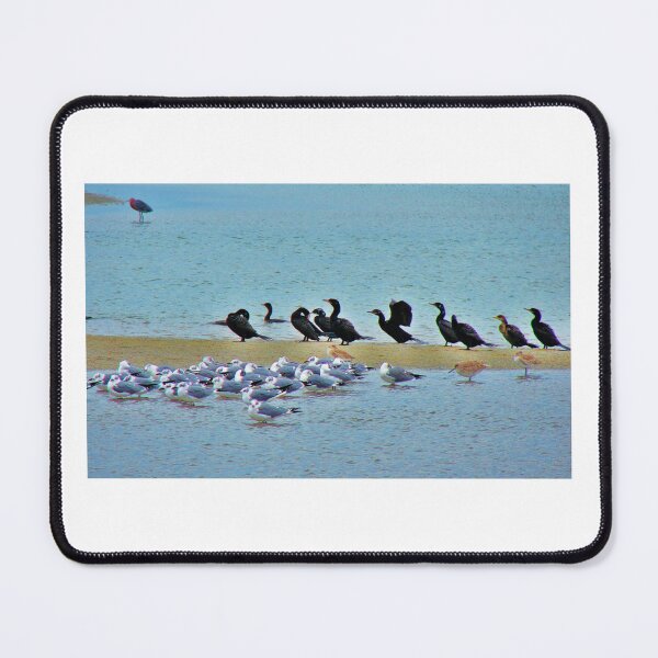 Item preview, Black and White Birds in Galveston designed and sold by The Cat Down the Road.