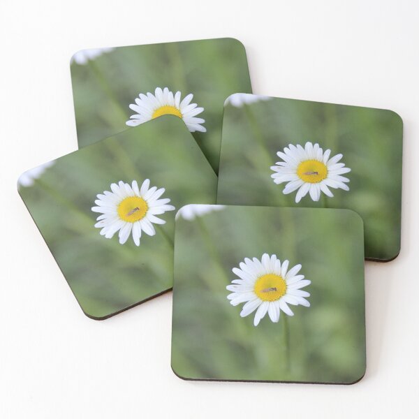 Item preview, A Daisy With A Friend designed and sold by PeppermintClove.