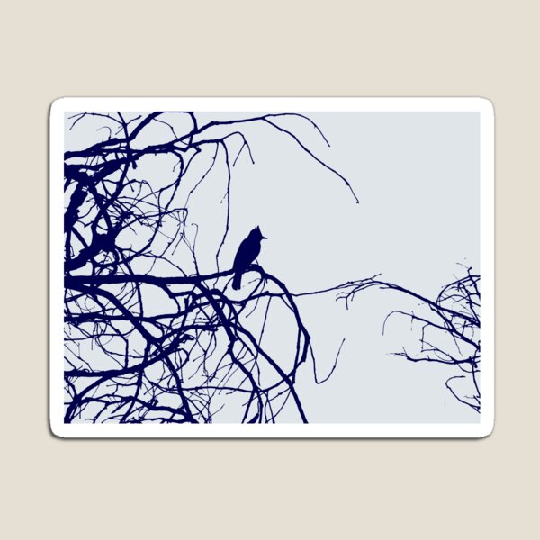 Steller's Jay Blue Magnet