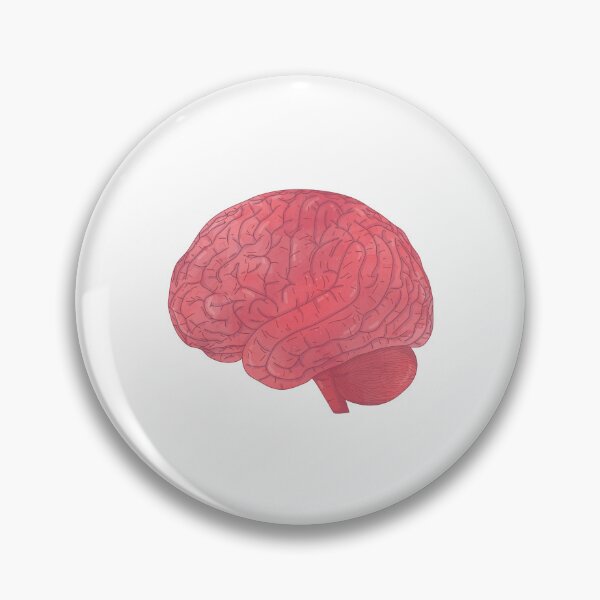 Item preview, Brain designed and sold by atalitas.