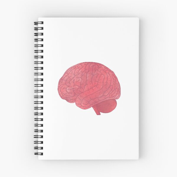 Item preview, Brain designed and sold by atalitas.