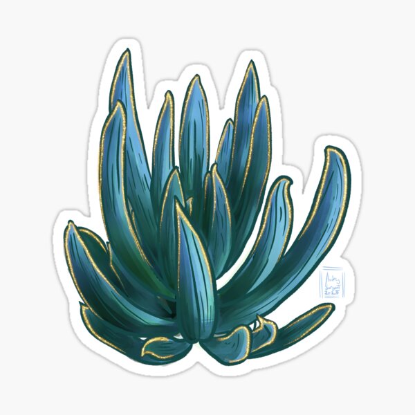 Succulent Jewels: Senecio “Blue Chalk Sticks” Sticker
