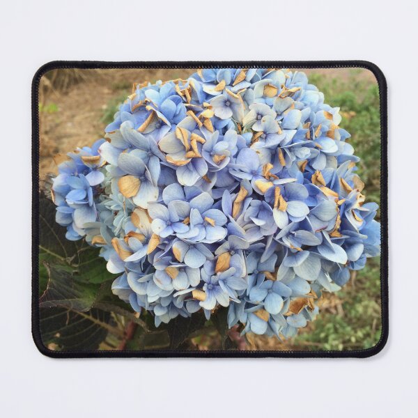 Item preview, Blue Flowers designed and sold by steamedcarrots.