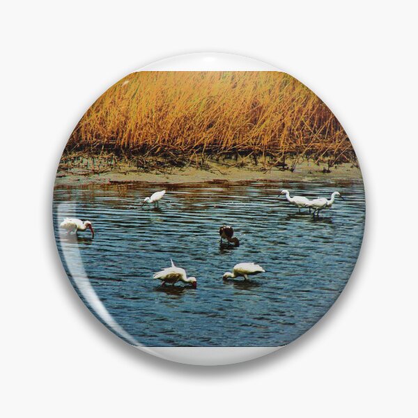 Item preview, Birds Wading in the Gulf- Galveston, Texas designed and sold by The Cat Down the Road.