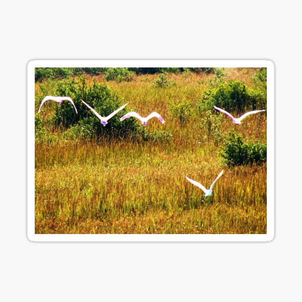 Item preview, Rosette Spoonbills Flying Off Shore designed and sold by The Cat Down the Road.