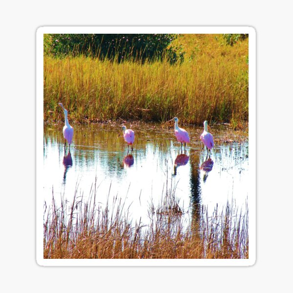 Item preview, Rosette Spoonbills Wading in the Water designed and sold by The Cat Down the Road.