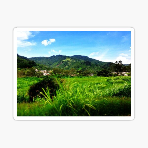 Item preview, Guanacaste, Costa Rica designed and sold by The Cat Down the Road.