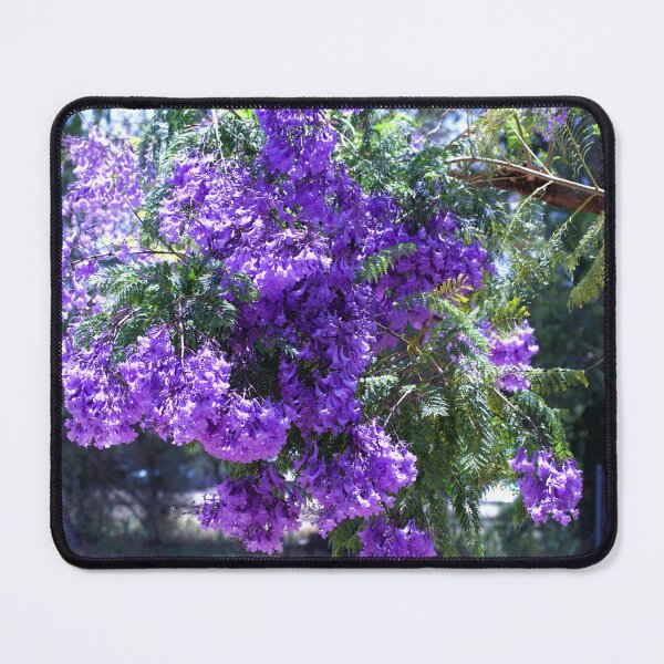 Item preview, Purple Jacaranda Tree designed and sold by TeAnne.