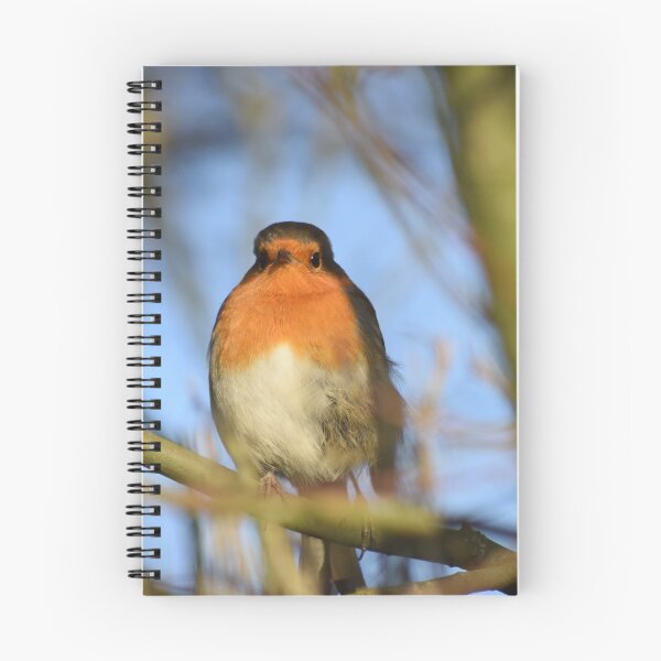 Item preview, Robin designed and sold by Hannah-lc.