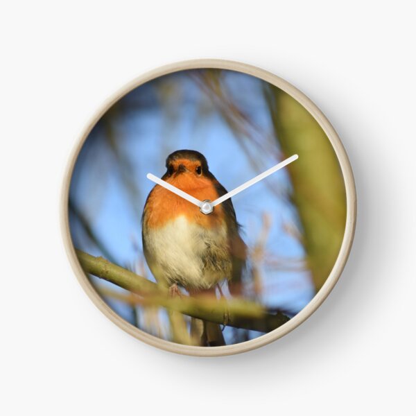 Item preview, Robin designed and sold by Hannah-lc.