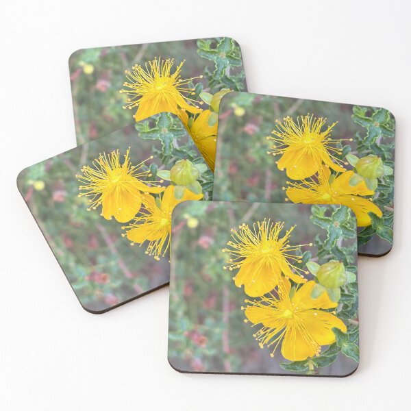 Item preview, Majorca St. John's Wort designed and sold by PariSeine.